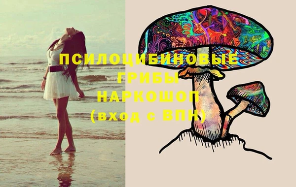 стафф Алексеевка