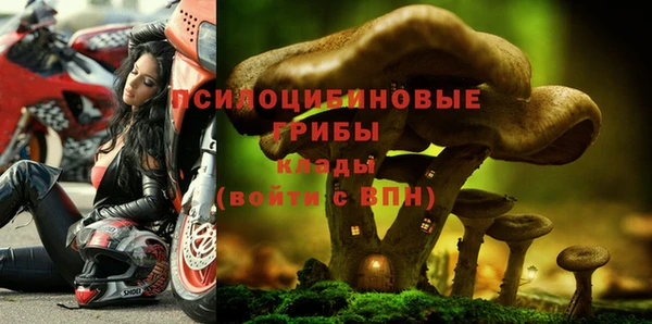 стафф Алексеевка