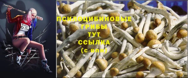 стафф Алексеевка