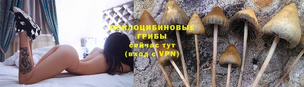 jwh Алзамай