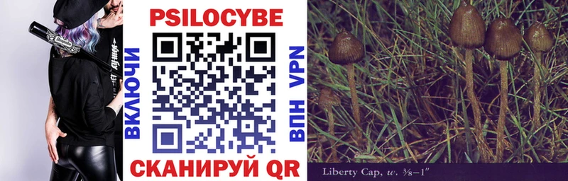 наркошоп  Полярные Зори  мега   Галлюциногенные грибы Psilocybe 
